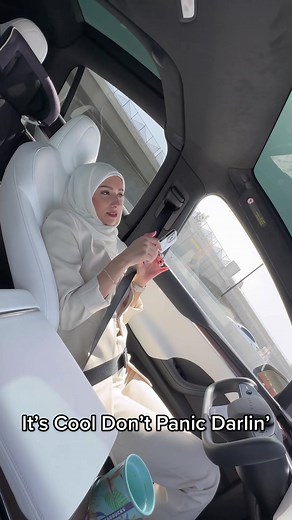 Tesla Autopilot Drivers Be Like: Handling Stress, Anxiety, and Adrenaline