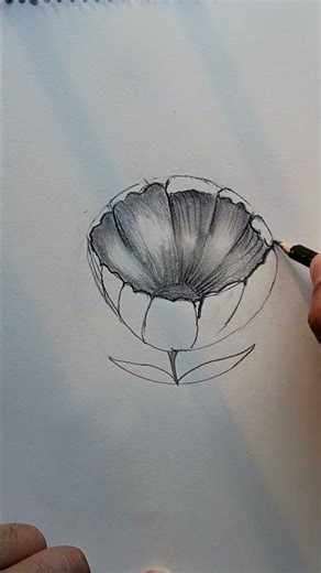 SKETCH A BEAUTIFUL FLOWER WITH PENCIL | Easy Drawing Tutorial for Beginners 🌸 #PencilSketch