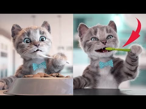 Little Kitten Preschool - Kitten Go To School Fun Preschool Kids Games - Early learning for children
