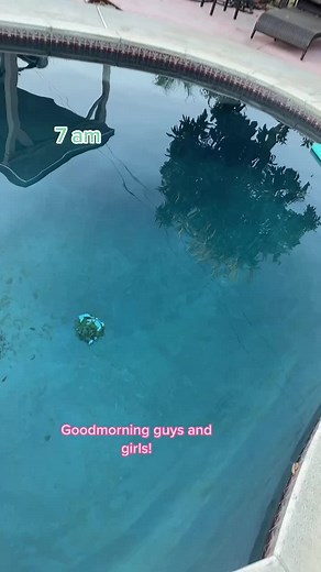 Goodmorning guys I’m starting my route early today at 7 #marcothepoolboy #dirty #itry #satysfying #fyp #4u #fypシ #pool #transformation #poolcleaning