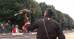 Dimostrazione di Pet Technology