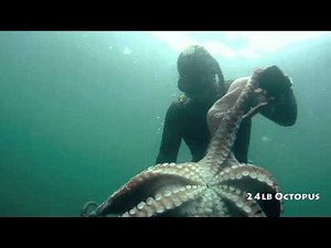 Freediving for 10 inch Abalone