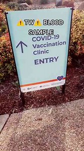 Blood Under Microscope: Before vs After Vaccine