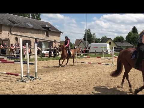 •Puissance équestre• CEG