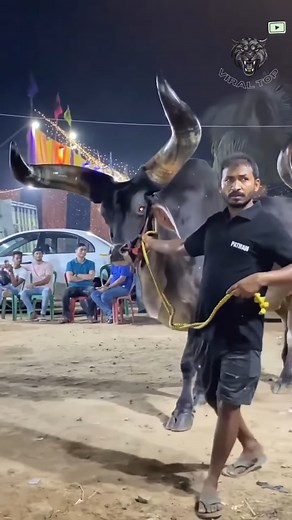 Voraz Naturaleza que te Dejaran Anonadado | Valle Informados