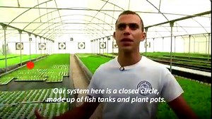 46K views · 922 reactions | This hydroponic fish farm in Egypt uses water from fish tanks to grow vegetables, increasing the farm's output while using much less water than traditional farming | Reuters | Facebook