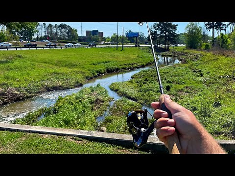 Roadside Fishing Urban Creek...Georgia
