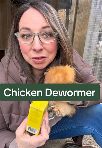 Advancing Backyard Chicken Care with SAFE-GUARD AquaSol