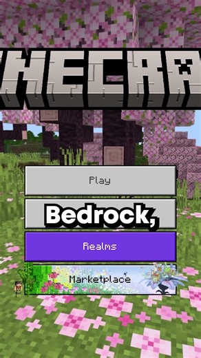 If you're looking for a new Minecraft server, stop scrolling! 📸