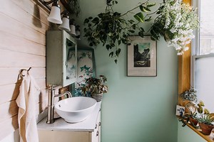 The 13 Best Houseplants for Your Bathroom, According to Plant Experts