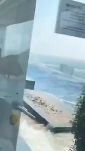 19K views · 169 reactions |  Un terremoto de magnitud 7,7 en Birmania sacude China y Tailandia  Todos los detalles en el siguiente enlace: https://www.eleconomista.es/actualidad/noticias/13290851/03/25/un-gran-terremoto-de-magnitud-77-con-epicentro-en-birmania-sacude-china-y-tailandia-dejando-desaparecidos-y-derribando-edificios.html?utm_medium=social&utm_source=facebook&utm_campaign=videos | elEconomista.es | Facebook