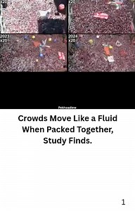 Scientists Discover How Packed Crowds Can Suddenly Move Like Giant “Human Vortices” A groundbreaking study published in Nature reveals that massive, densely packed human crowds can spontaneously organize into large-scale swirling motions—behaving much like physical systems such as fluids. Researchers analyzed thousands of participants at the San Fermín festival in Pamplona, Spain, collecting hours of high-resolution footage over multiple years. The team found that once a crowd surpasses a critic