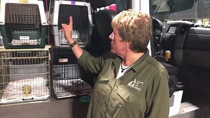 6.4K views · 627 reactions | Rescue missions can come up very...