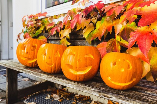 The Funniest Pumpkin Quotes and Puns to Use on Instagram
