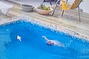 Distressing video shows moment baby falls into pool before rescued by dad