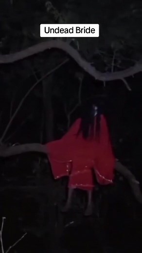 Undead Bride in haunted forest sitting on a Tree . 👰 #ghost #horror #creepy #spooky #scary #foryou #foryoupage #Halloweenparty #haunted
