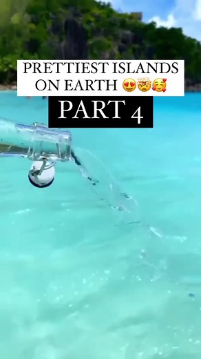 Best Beaches in the Caribbean: Turks and Caicos Paradise