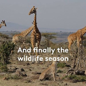 The most exciting series starts today, look out for our Basecamp series, highlighting the adventures in the Mara! | Basecamp Explorer