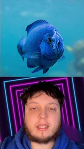 Marine biologists reportedly discovered a stunning deep-blue fish off the coast of Venezuela… #fish
