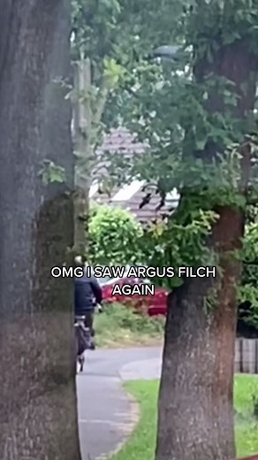 Encounter with Argus Filch | Hogwarts Mystery Unraveled