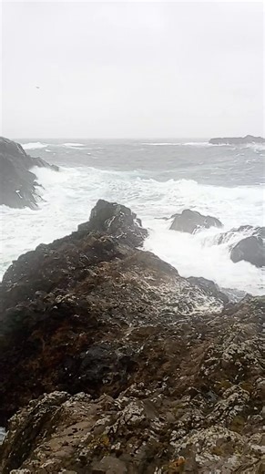 4.7K views · 260 reactions | Fair Isle, Shetland | The Grate ist Flame | Facebook