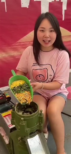 Feed Making Machine for Cattle, Sheep, and Poultry