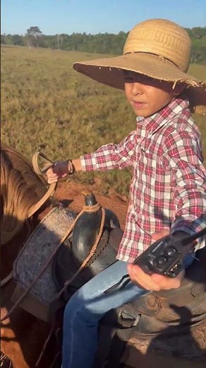 First Lessons in the Field! 😱 My Son Guiding the Border Collies and the Herd #herdingdog