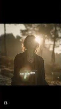 What happens when you hug a tree! #documentary #shorts #viral