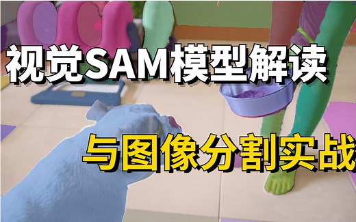 【全网首发】2023年Meta AI最新发布的SAM模型（Segment Anything Meta）解读！附带图像分割实战教程，全程高能，不要错过！