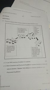 2.1 Study the diagram below showing evolution by natural select... | Filo