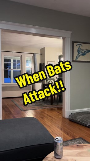 Terrifying Bat Attack Caught on Camera!