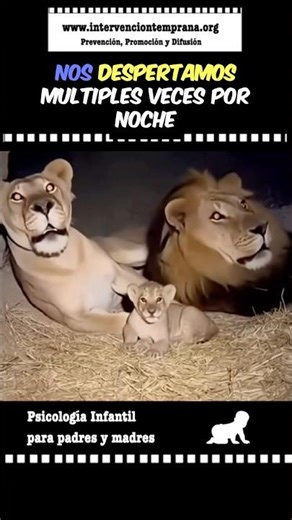 ¿Cuánto tiempo hicieron colecho?