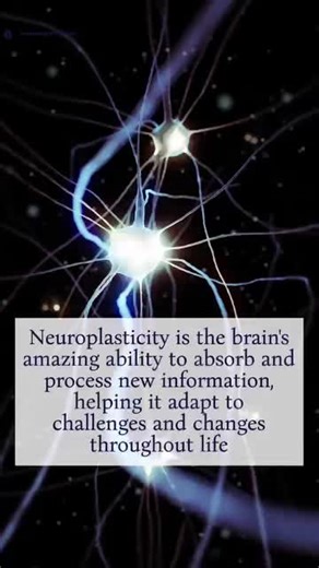 👨🏻‍⚕️Neuroplasticity is the brain's remarkable ability to absorb and process new information, enabling adaptation to challenges and changes throughout life. 🚀 This adaptability is essential for learning, personal growth, and cognitive resilience, influenced by both environmental factors and genetic predispositions. 🏥 Neuroplasticity is an ongoing process involving not just neurons but also glial and vascular cells, shaping the brain through learning, memory formation, and even recovery from 