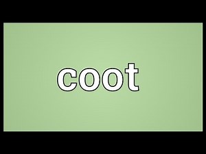 Coot Meaning