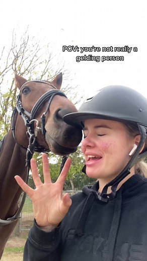 Interacting with a Horse: A Unique POV Experience