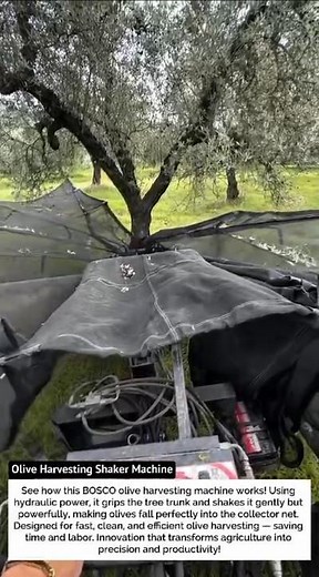 Olive Harvesting Shaker Machine – Smart BOSCO Hydraulic Tree Shaker 2025 🌿💪