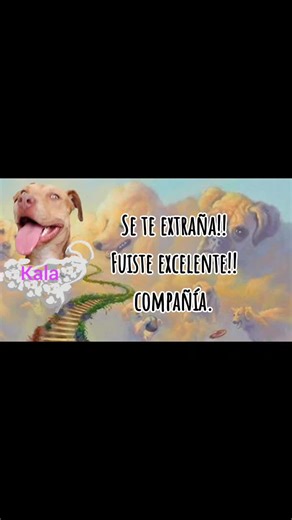 Videos de M.T.B. (PITBULL) SILVER FAWN (@mtb_piitbull_silver_fawn) con “Oceans (Where Feet May Fail) [Instrumental Version] - Instrumental Christian Songs, Christian Piano Music & Praise and Worship & Christian Hymns”