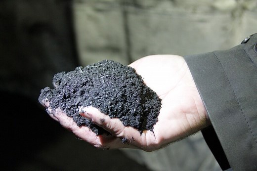 What is the future of biochar as a climate change mitigation tool?