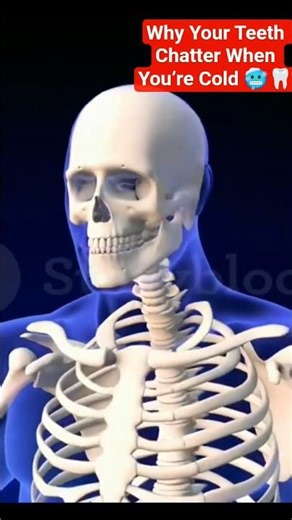 Why Your Teeth Chatter When You’re Cold 🥶🦷‎ #shorts