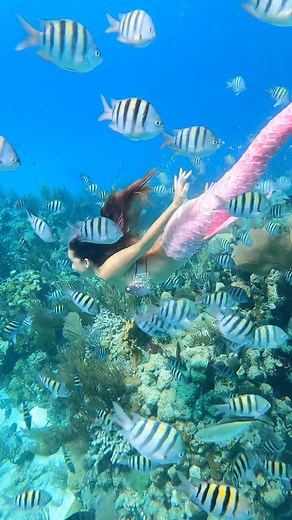 Happy Mermaid Day to all the believers who are living life in their truest forms! 🧜🏼‍♀️ Keep chasing your dreams and sharing your light with the world! 🌎 | Mermaid Jules