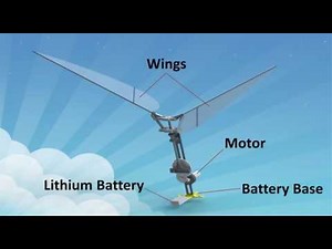 Micro Flapping Wing Rotor Introduction
