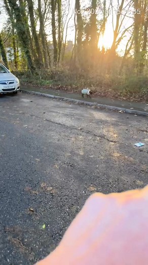 Massive thankyou plymouth for today!! However please watch the video about parking!!!! | Marks mobile butchers With Josh