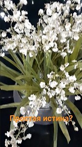 Простая истина?