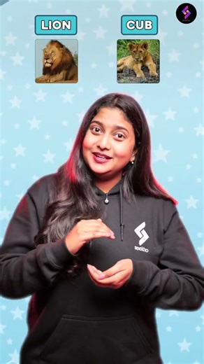 Animal Baby Names in English 🐘🐎 | Seekho English Fast