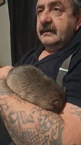 Ruby gone to sleep in my arms | Martin Critchlow