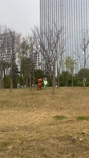 A funnybear on TikTok