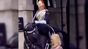 London: Das passiert, wenn man einem Pferd der Queen’s Guard zu nahe kommt