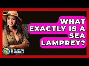 What Exactly Is A Sea Lamprey? - Ecosystem Essentials