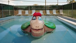 20K views · 57 reactions | Here's a fascinating look at the mess...