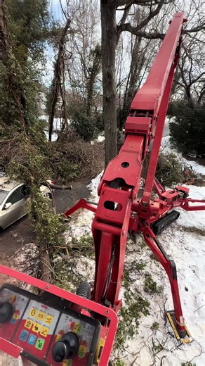 Emergency job! Fallen tree on car and garage! 24/7 emergency tree service #treeservice #newyork #treeremoval #longisland